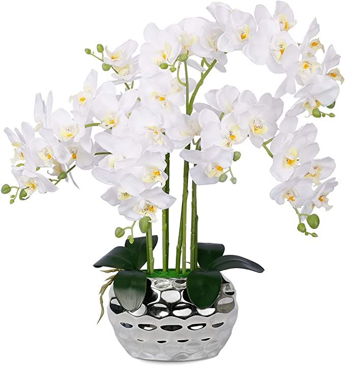 Artificial Orchid White Silk Orchids Plant Phalaenopsis Flowers Faux Flower Orquideas Grandes wit... | Amazon (US)