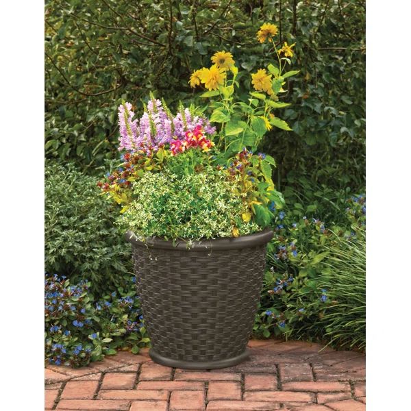 2 - Piece Resin Pot Planter Set | Wayfair North America