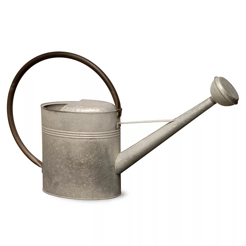 National Tree Company 18"" Garden Accents Antique Watering Can, Grey | Kohl's