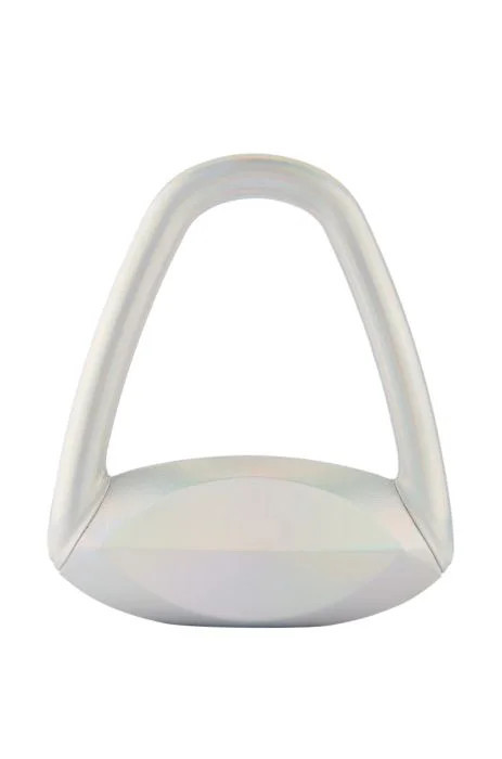 SPACE CASE HARD SHELL BAG IN SILVER AB | AKIRA