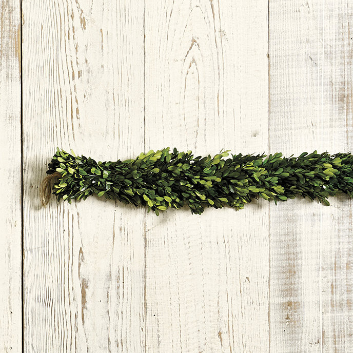 Preserved Boxwood Garland | Ballard Designs, Inc.