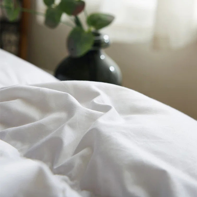 750in³/oz Fill Power All Season Goose Down Comforter | Wayfair North America