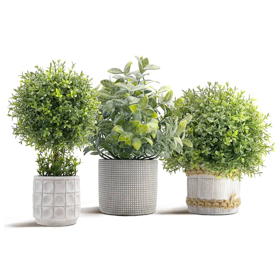 3 Pack Fake Plants in Cement Planter Small Artificial Plants Indoor Faux Potted Plant Boxwood Top... | Amazon (US)