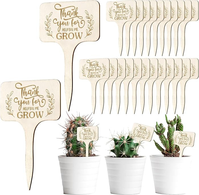 Succulent Wooden Tags Thank You for Helping Me Grow T-Type Pointed Wooden Plant Stakes 30Pcs Mark... | Amazon (US)