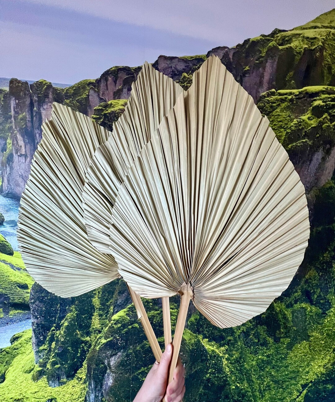 LARGE PALM LEAVES | Sun-Dried Palm Fronds | Tropical Wedding Decor | Boho Wedding Arch | Safari N... | Etsy (US)