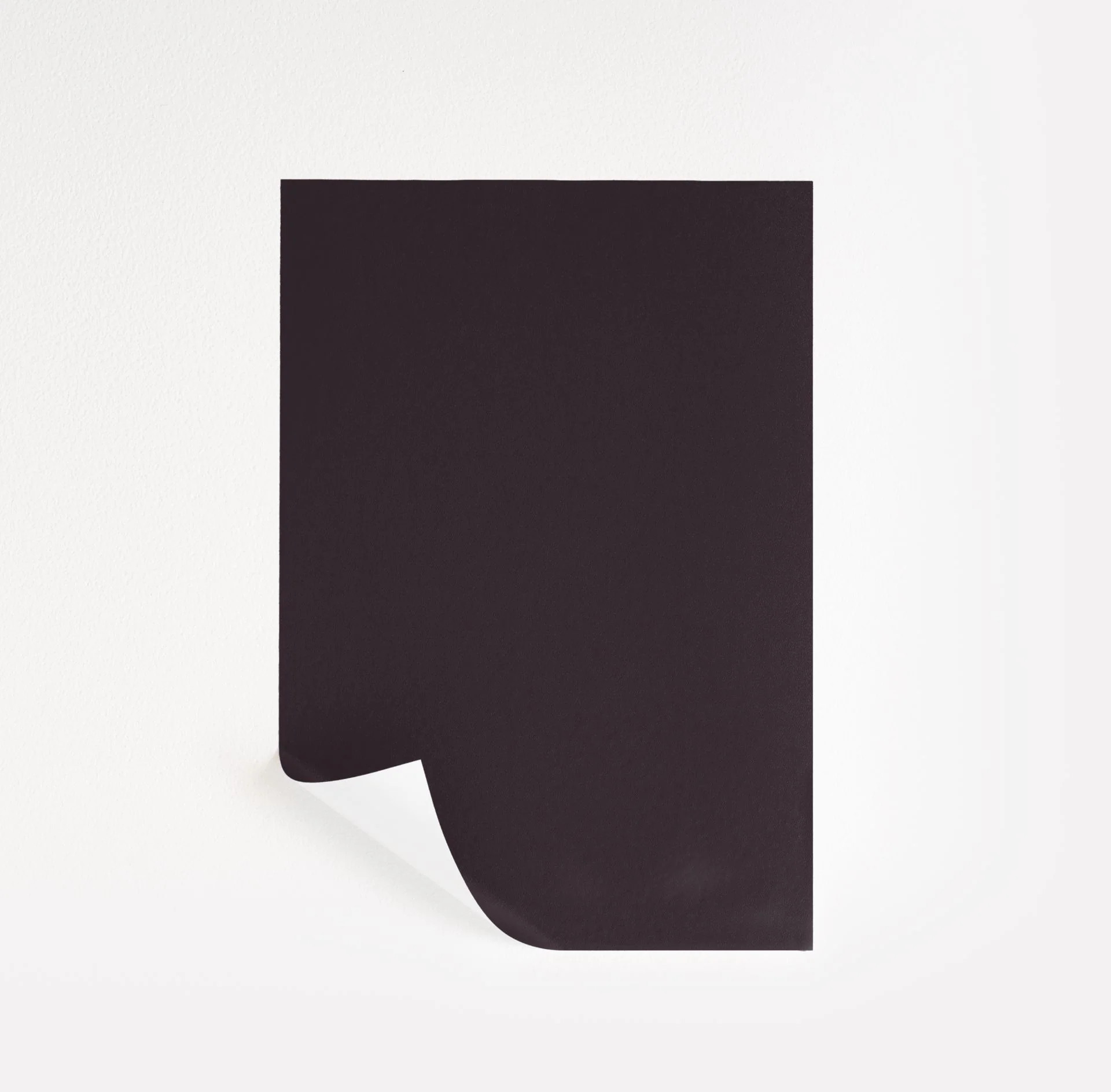 Velvet Cloak  Paint Sample | Samplize