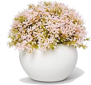 ELYSIANZE Mini Artificial Plant in White Ceramic Pot | Decorative Faux Plant for Home/Office Deco... | Amazon (US)