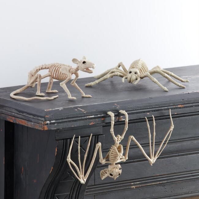 Ivory Rat, Bat And Spider Skeletons Set Of 3 | World Market
