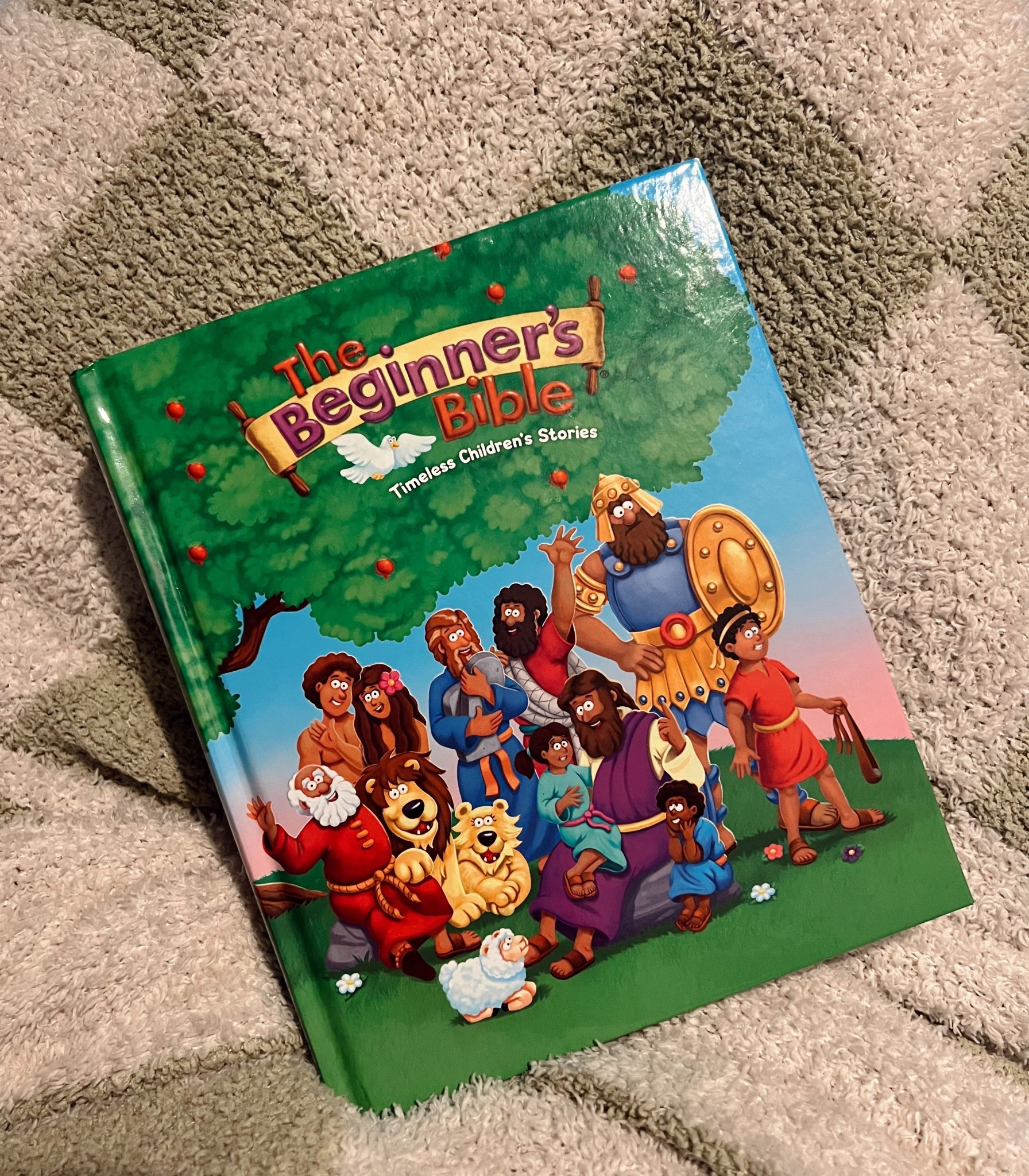 Children’s Bible 🕊️

#LTKKids #LTKFamily #LTKSaleAlert