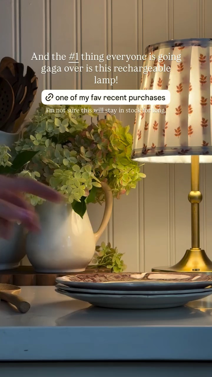 And the #1 thing everyone is going gaga over is this rechargeable lamp! I’m not sure this will stay in stock for long.