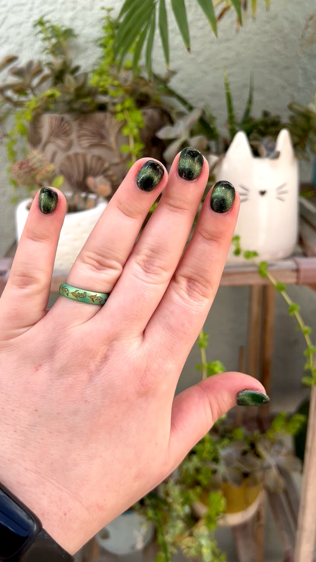 Fun new cat eye nail color! This manicure used “Purrsain Purrfection” over a base coat of black. Tagging the exact cat eye plus a few others I’ve used and liked recently! 

#LTKBeauty #LTKSeasonal #LTKStyleTip