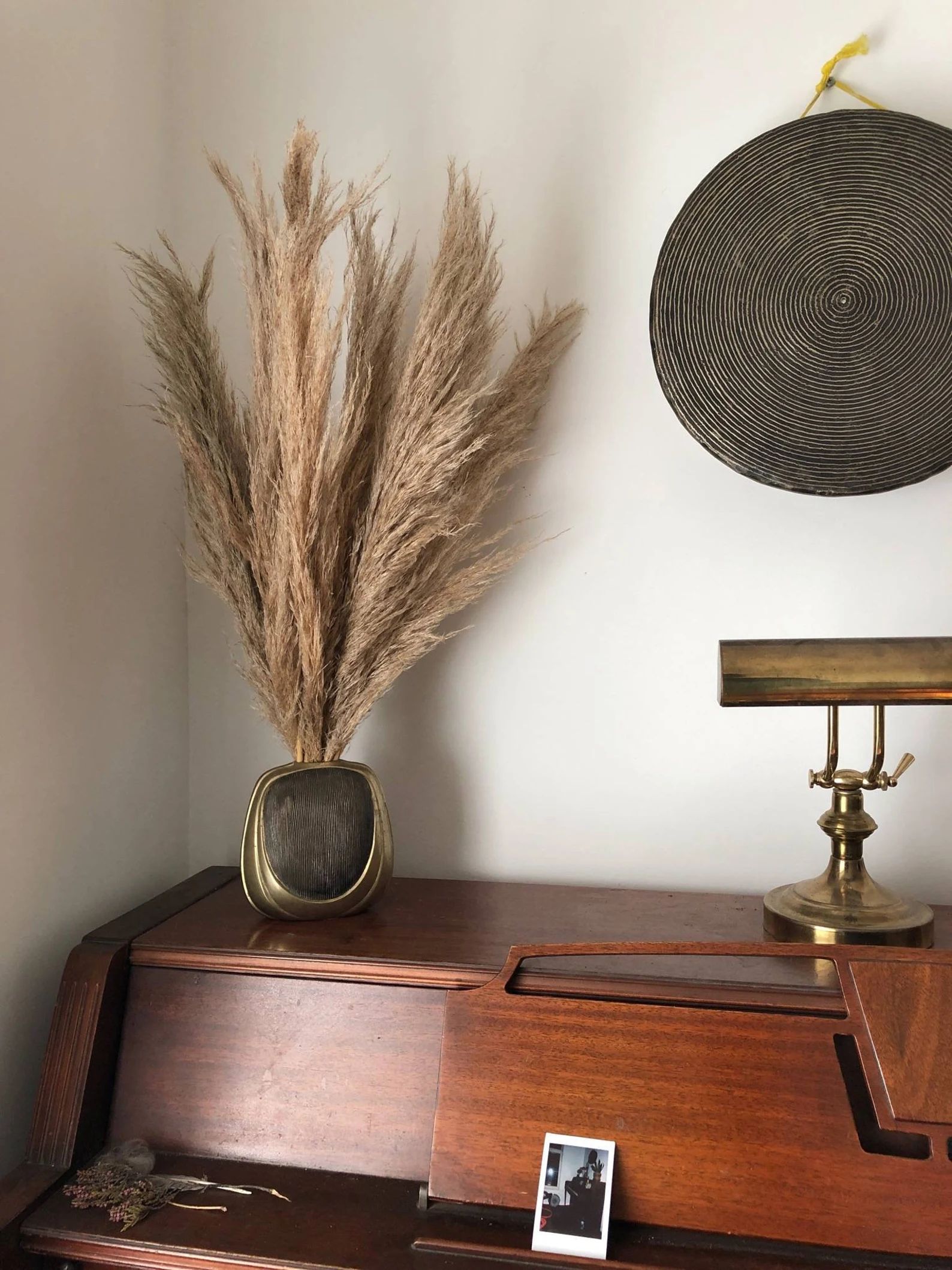 Pampas Grass - 10 stems - Natural - Dry Flower - Boho - Wedding - Home Decor | Etsy (US)