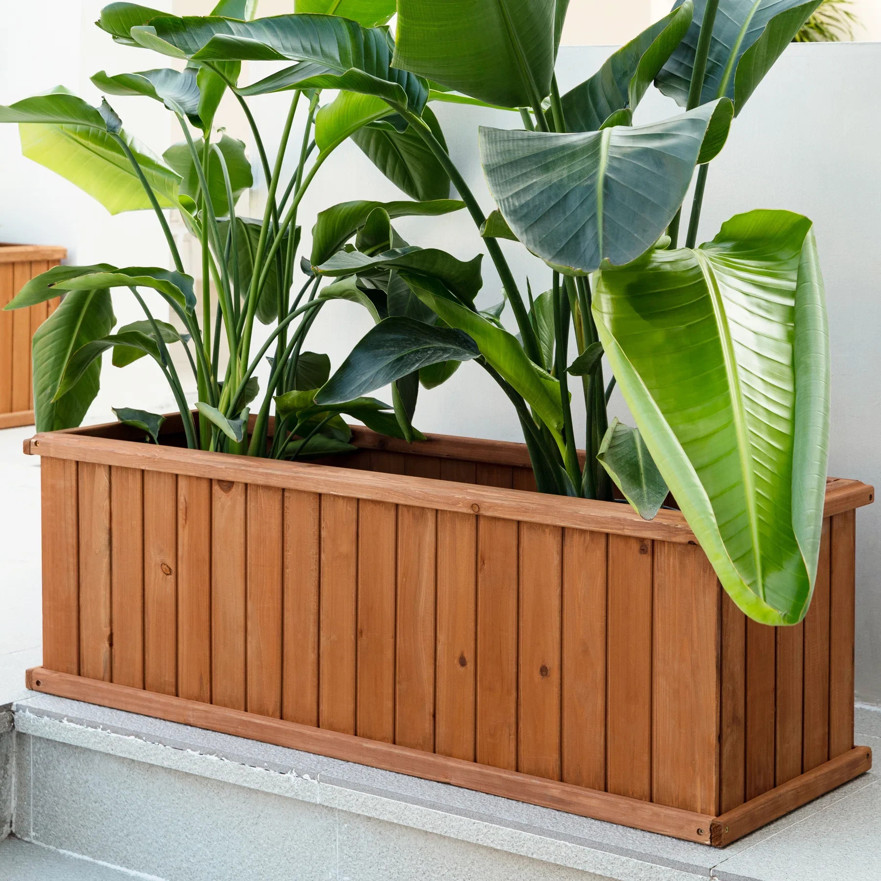 Three Posts™ Barros Outdoor Wood Planter Box New green house beauty and hope Raised Garden Bed ... | Wayfair North America