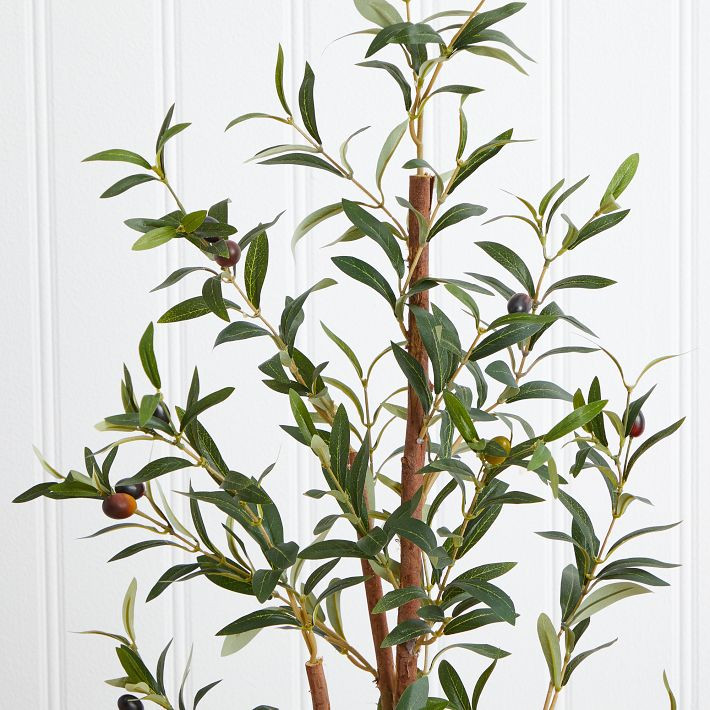Faux Potted Olive Tree | West Elm (US)