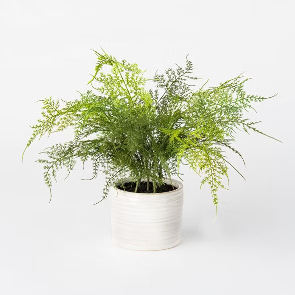 Artificial Fern Plant in Pot White - Threshold™ designed with Studio McGee | Target