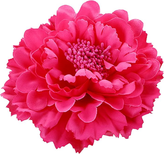 Hair Flower Clips Brooch Boutique Hair Accessories Bohemia Hairpins for Women Girls (Rose) | Amazon (US)