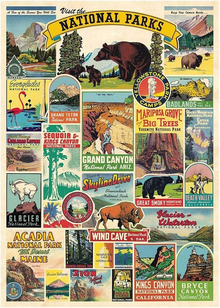 Cavallini Decorative Wrap Poster, National Parks, 20 x 28 inch Italian Archival Paper (WRAP/NP) Offi | Amazon (US)