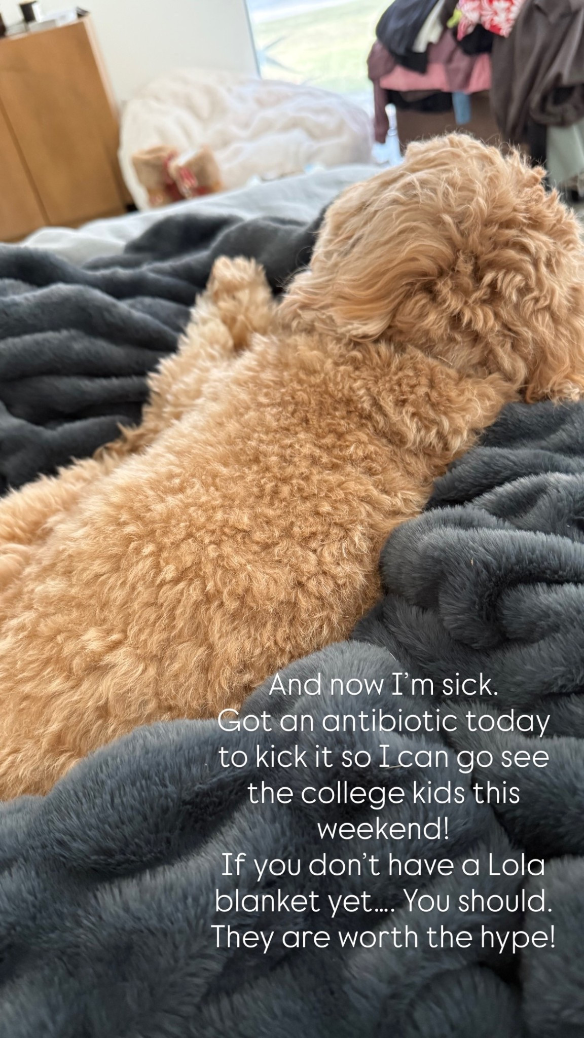 And now I’m sick. 
Got an antibiotic today to kick it so I can go see the college kids this weekend! 
If you don’t have a Lola blanket yet…. You should. They are worth the hype!