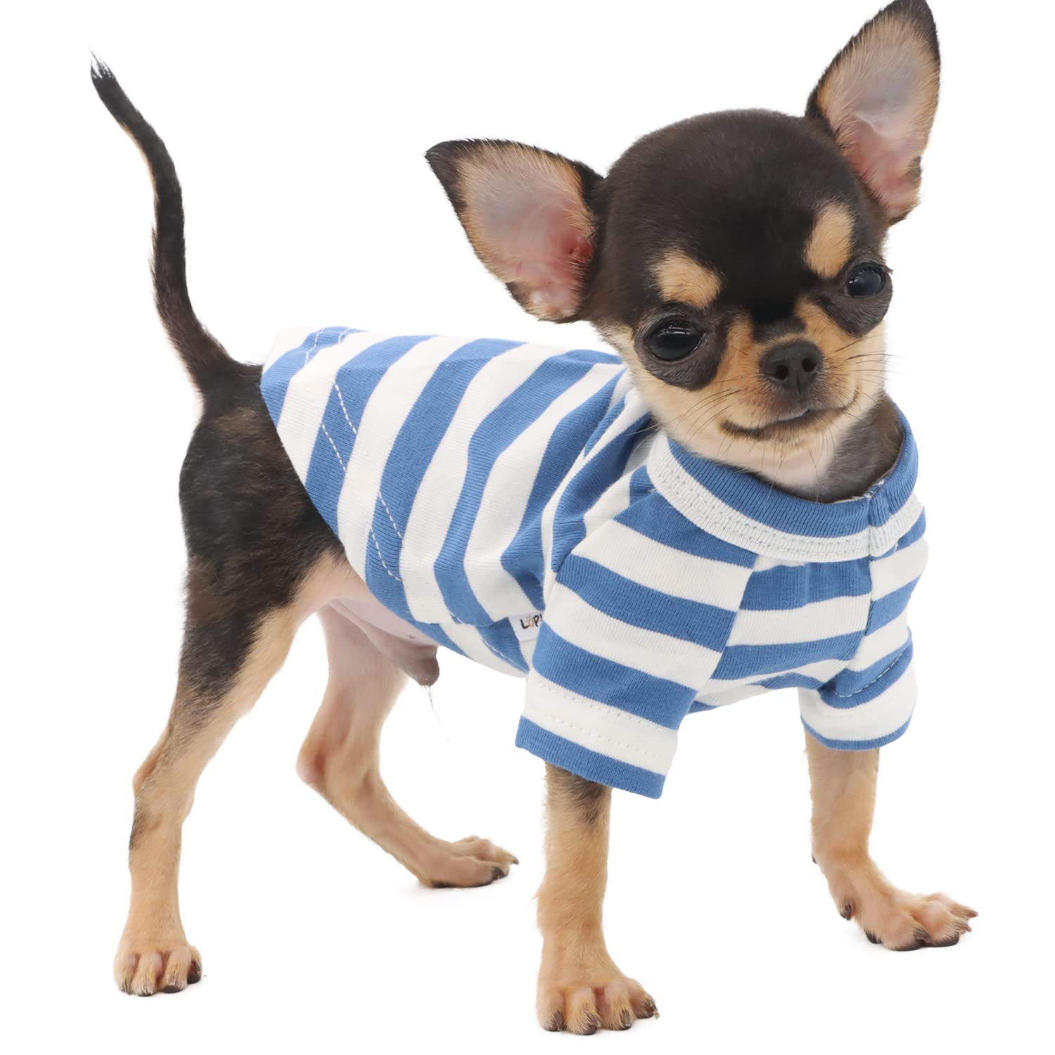 LOPHIPETS 100% Breathable Cotton Striped Dog Tee Shirt T-Shirt for Small Dogs Teacup Chihuahua Yo... | Amazon (US)