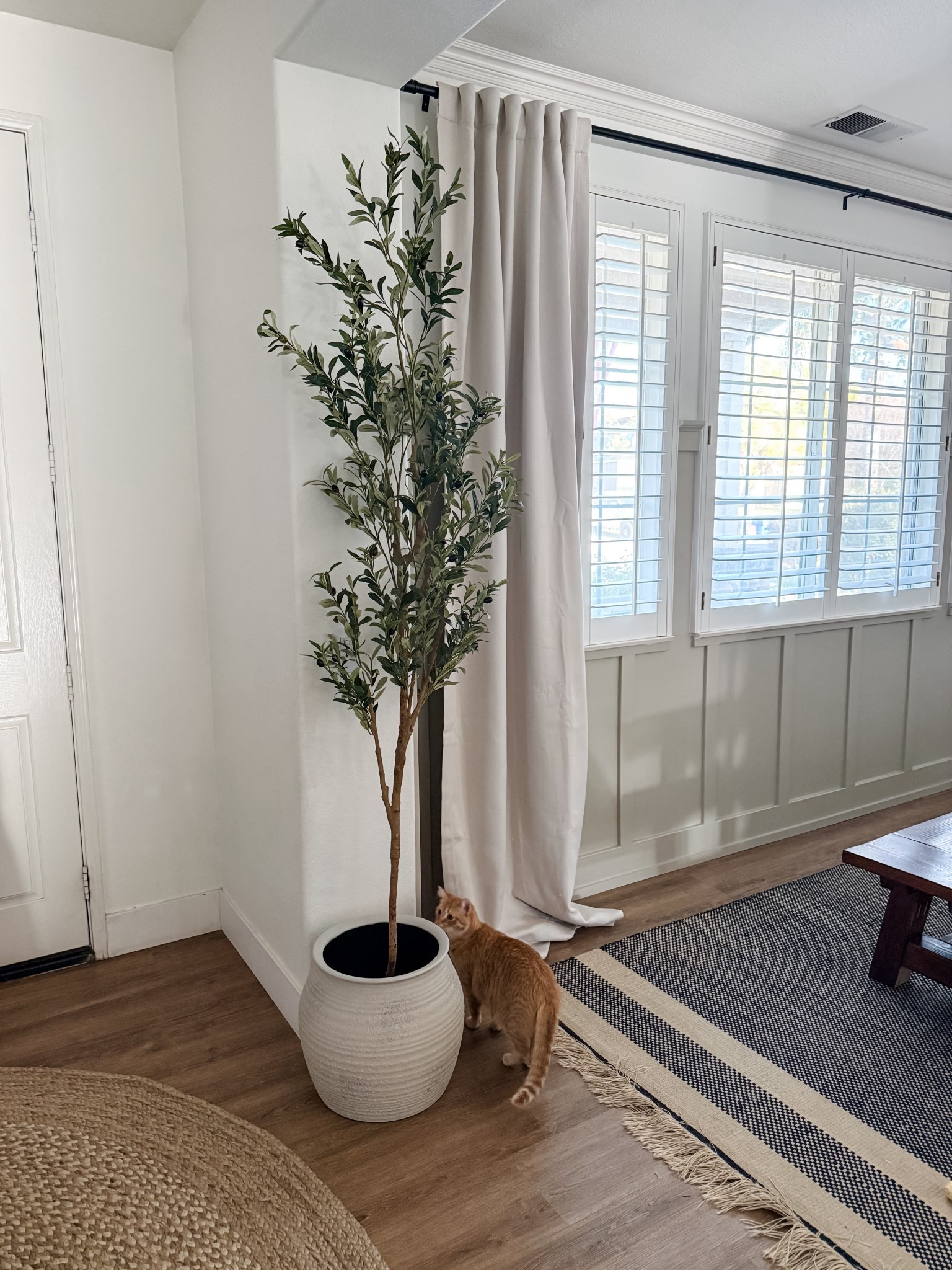 Helping my boss style her Medspa and now I want this tree and pot for my own house! You won’t believe the price of the pot! 

#LTKHome #LTKSpringSale #LTKSeasonal