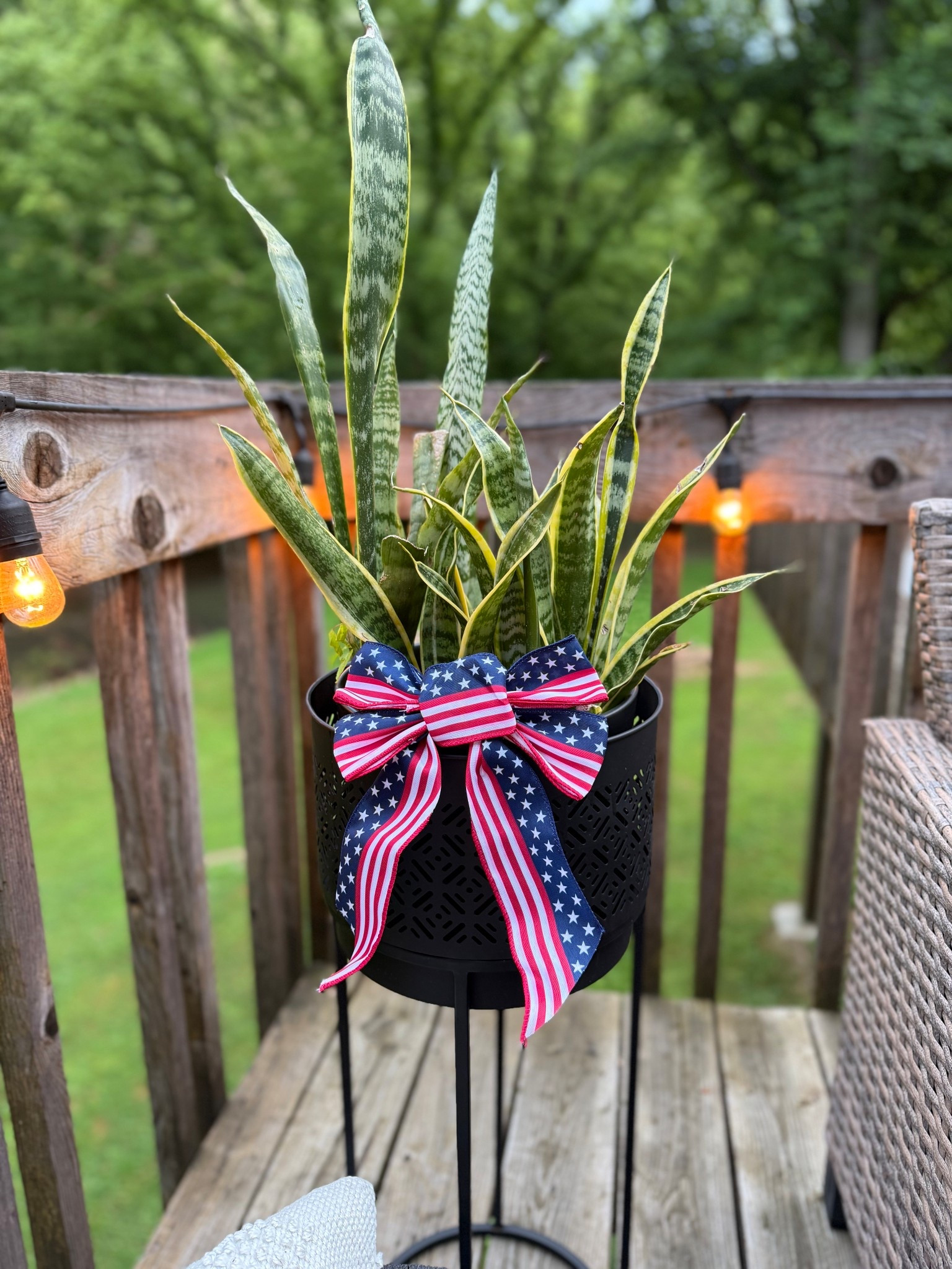 CUTEST patriotic bows from amazon!!😍🎀❤️🇺🇸 these are going FAST!!💨 So cute to spruce up a plant, a wreath, or whatever you may want to do. They come in a pack of four for $10 and already have the little ties on the back. Tip: tie to a kabob stick and then put it down in your plants🌿🇺🇸❤️🤍💙
.
.
#july4th #patriotic #americana #patriotocdecor #julyfourth #usa #fourthofjuly #american #americandecor #starsandstripes 

#LTKSeasonal
