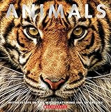 Animals: Witness Life in the Wild Featuring 100s of Species | Amazon (US)