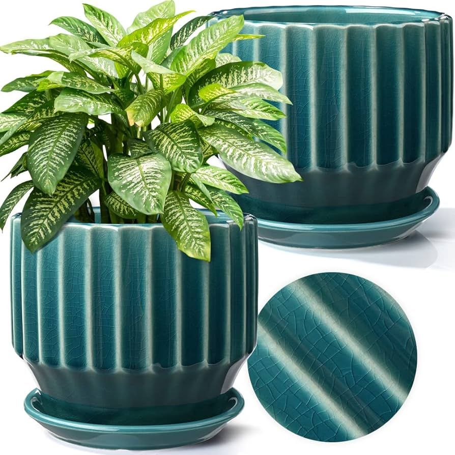 AISBUGUR Plant Pots 6 inch Ceramic for Indoor Plants Set of 2 Flower Unique Crackle Glaze Design ... | Amazon (US)