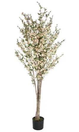 Gracie Oaks 6' Cherry Blossom Tree in Pot | Wayfair | Wayfair North America