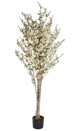 Gracie Oaks 6' Cherry Blossom Tree in Pot | Wayfair | Wayfair North America