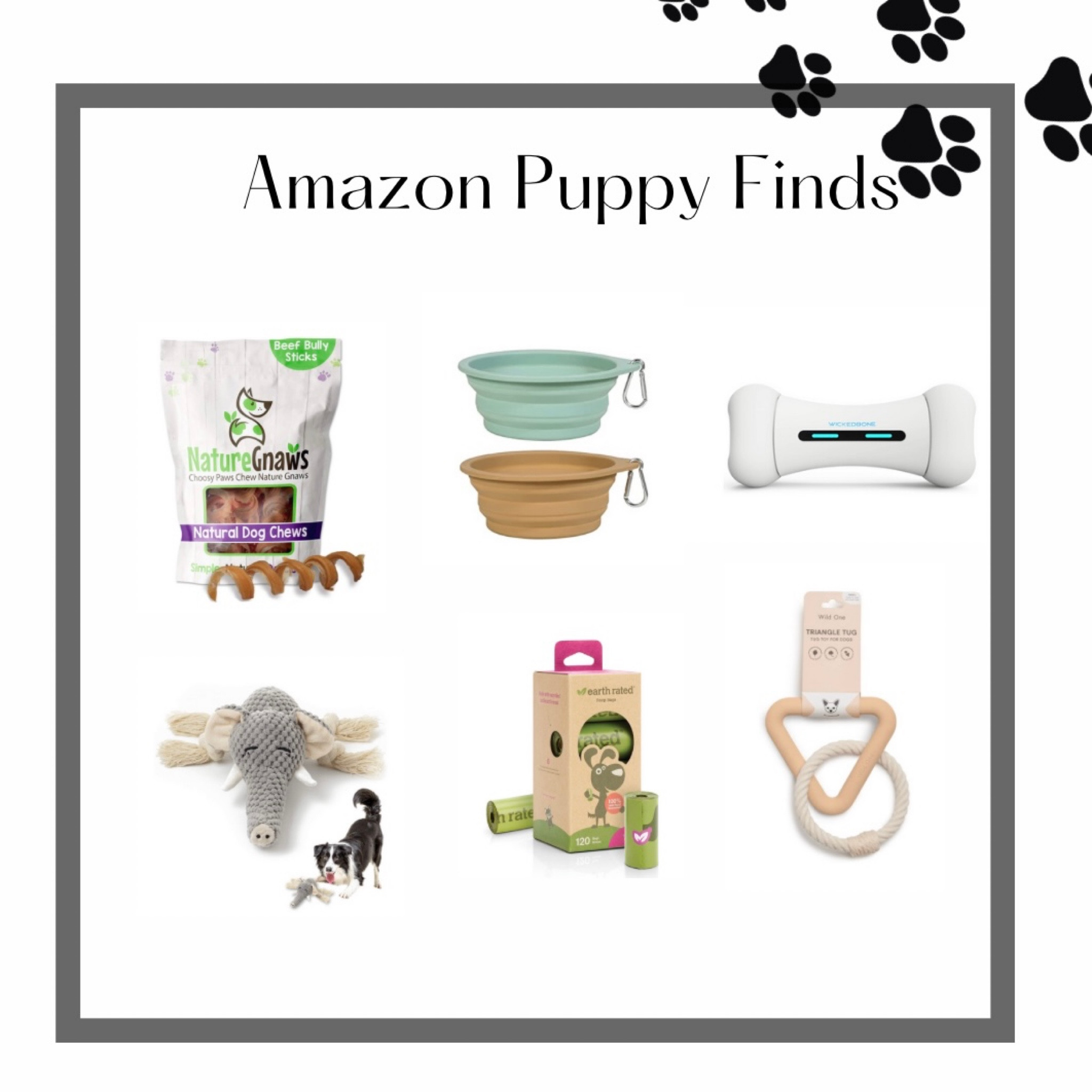 Puppy favorites from Amazon!