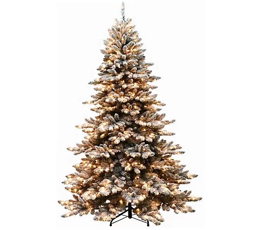 6.5' Royal Majestic Spruce Green Tree Flocked 500 Clear Lights | QVC