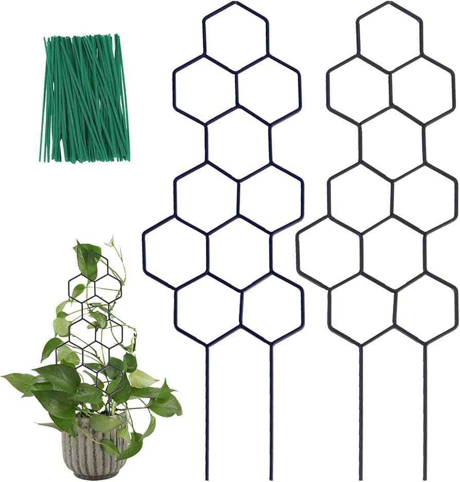 Small Trellis for Potted Plants, 15.94 inch Metal Plant Trellis for Climbing Plants Indoor Pot Ho... | Amazon (US)
