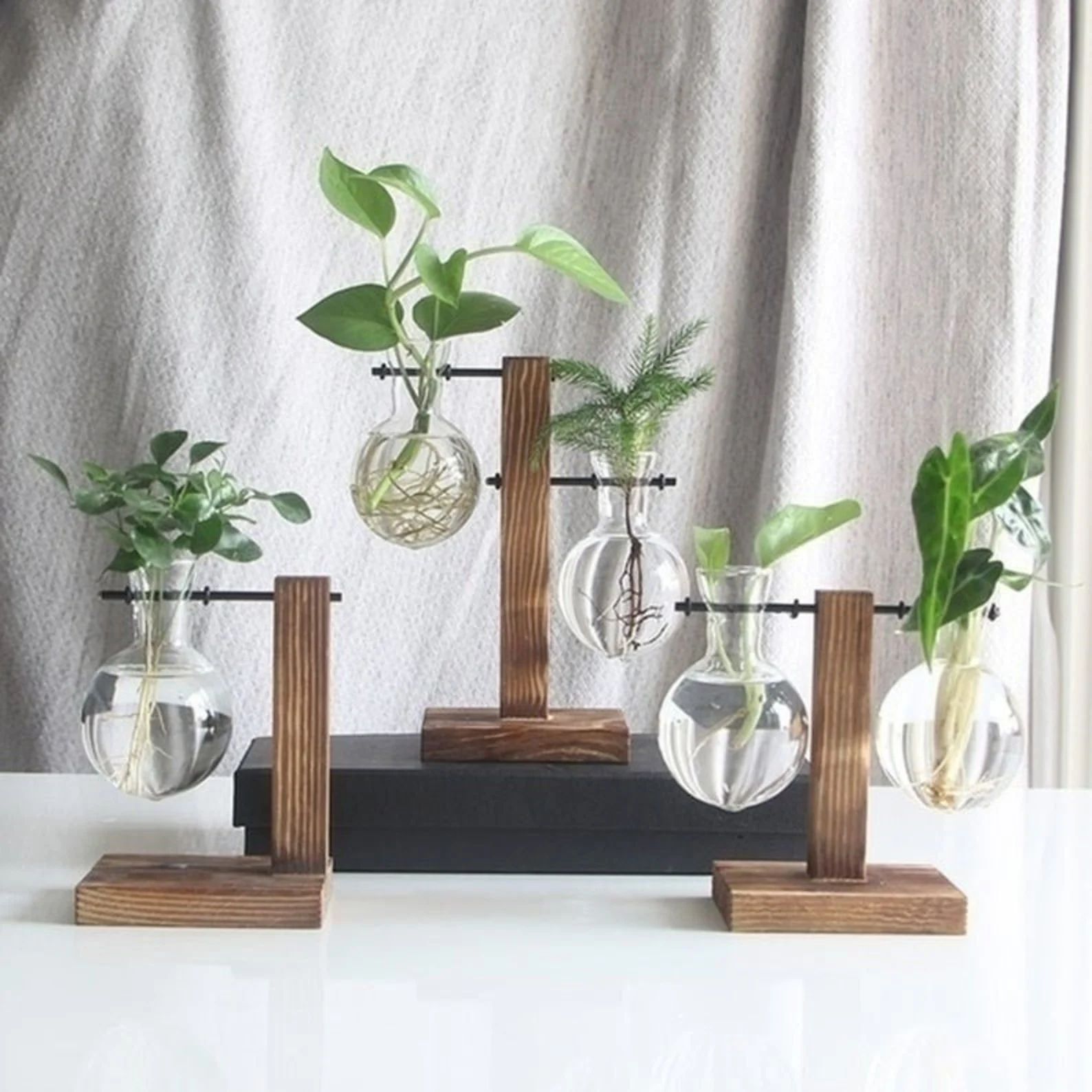 Glass Planter Bulb Vase with Wooden Stand |Terrarium Hydroponic Plant Vases Vintage Flower Pot | Etsy (US)