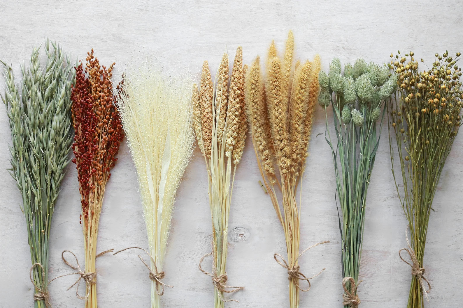 Dried Grass BunchesDried FlowersDried GrainsDried Fall | Etsy | Etsy (US)
