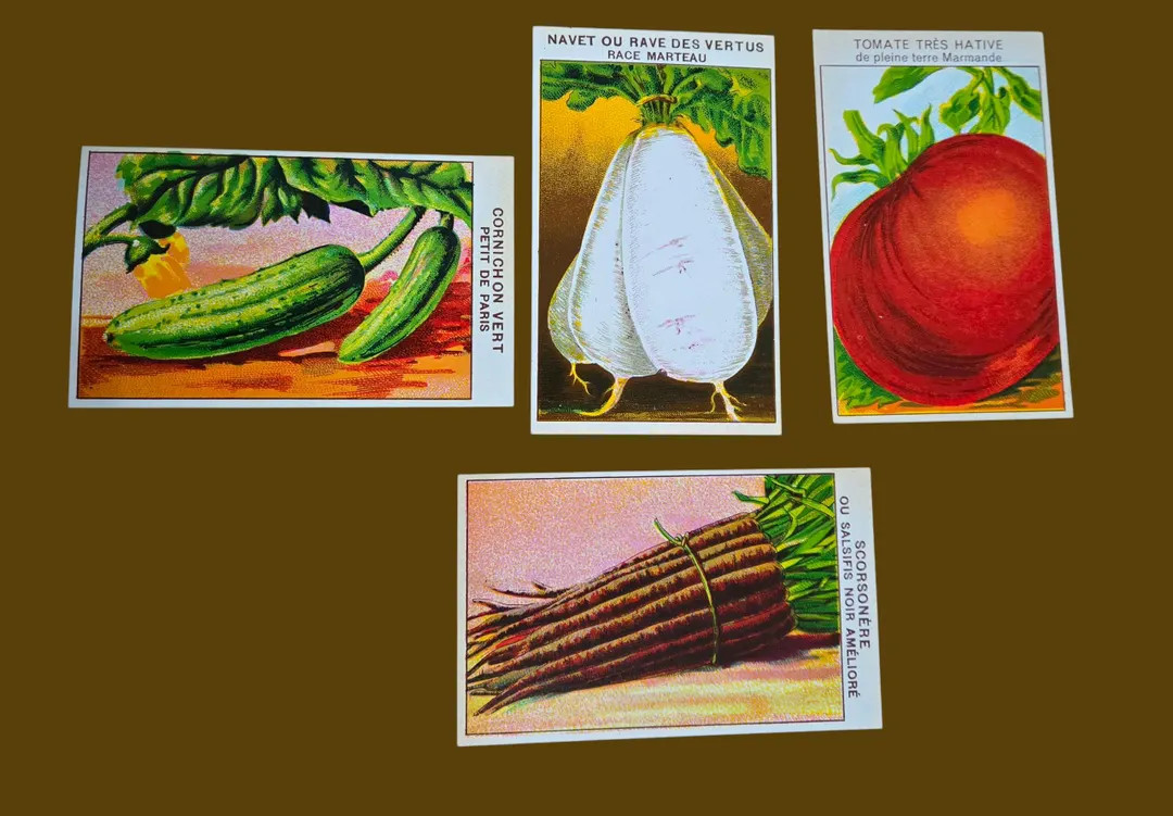 Vintage 1930s French Seed Packets and Vegetable Labels Lot of 8 - Etsy | Etsy (US)