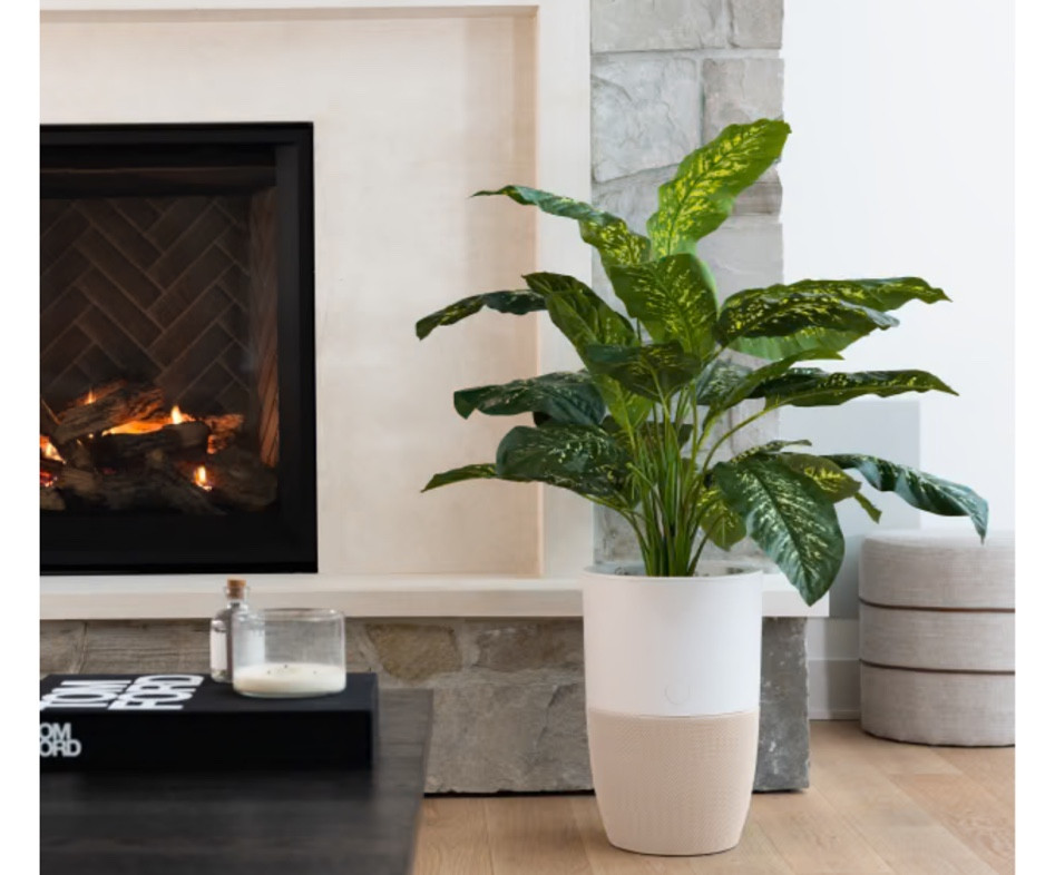 the most elegant Air purifier I’ve ever seen! This is definitely on my wishlist for the near future but wanted to share. 
This purifier is a smart, HEPA-13 air purifier with a unique, customizable design that blends in with your decor. Grow your favorite plant, or make it an accent table with storage. I would definitely make mine with the planter option! 

Designed for plant lovers.
The most beautiful way to enjoy cleaner, healthier air. Clean air & happy plants.
Designed with an integrated removable planter, Bloom™ drastically improves the air quality and creates the ideal home for your favorite plant. The constant air circulation helps develop stronger roots and stems, and reduces fungal infections or rot.
Not such a green thumb?
Make it an accent table!

HEPA-13 medical-grade air filtration.
Captures 99.97% of airborne pollutants as small as 0.1 micron in size.



#LTKhome