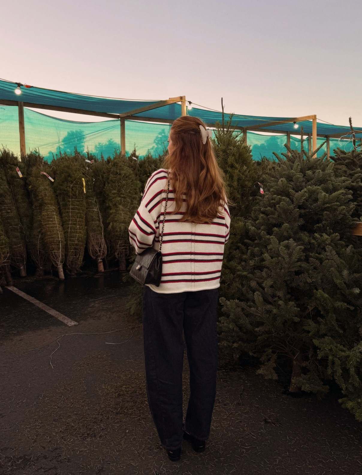 Christmas tree shopping outfit! Medium in the sweater & 27 in the jeans 