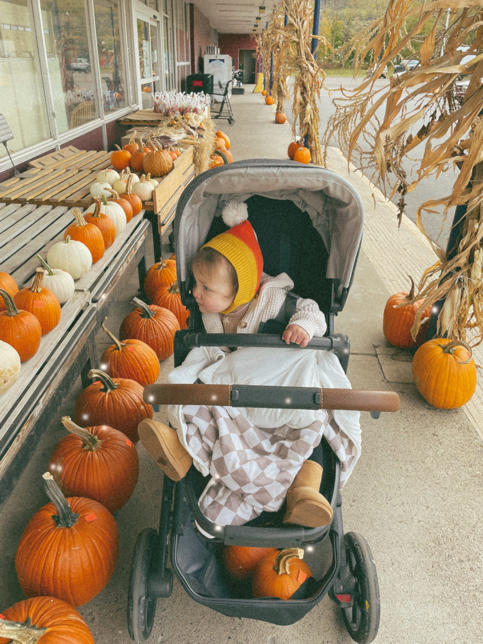 Chilly autumnal walk with the kids 🍂🎃🧡

Baby girl, candy corn, stroller, double stroller, toddler girl, baby girl boots, Halloween hat, Uppa baby, fall hat, fall boots

#LTKSeasonal #LTKbaby #LTKHalloween