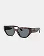 Geometric Cat Eye Sunglasses | Coach Outlet US