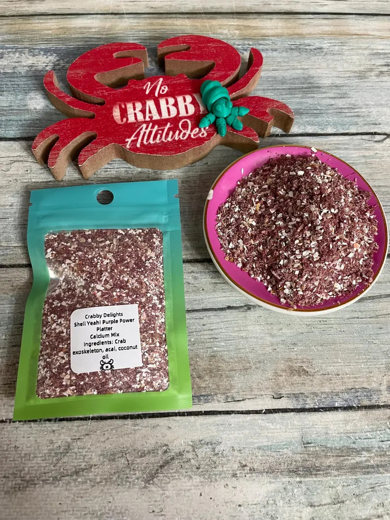 Shell Yeah! - Purple Power Platter | Etsy (US)