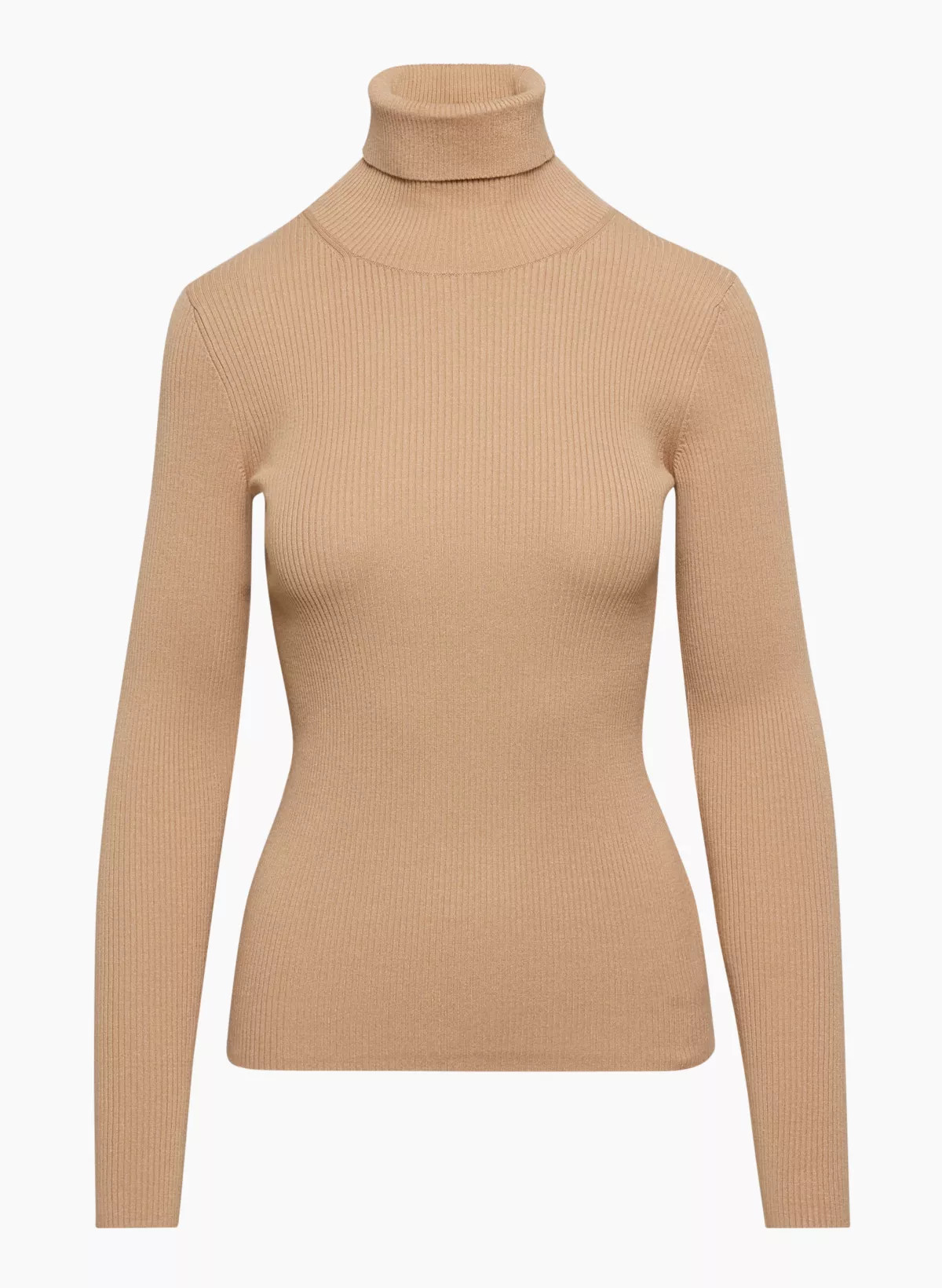 COMPEL TURTLENECK | Aritzia