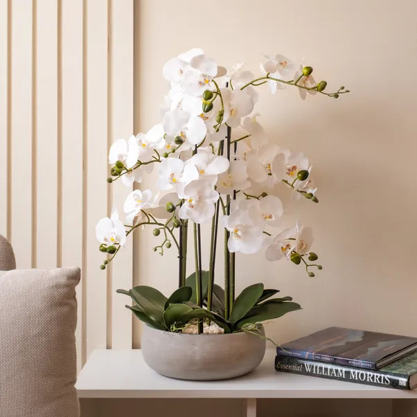 Artificial White Orchid in Grey Ceramic Plant Pot | Dunelm