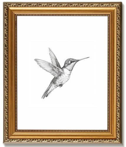 Vintage Gold Framed Wall Art for Home Room Retro Birds Canvas Prints Sketch Painting Picture Farmhouse Hummingbird Wall Decor Art for Bedroom Bathroom Living Room Holiday Decor - 8"x10" | Amazon (US)