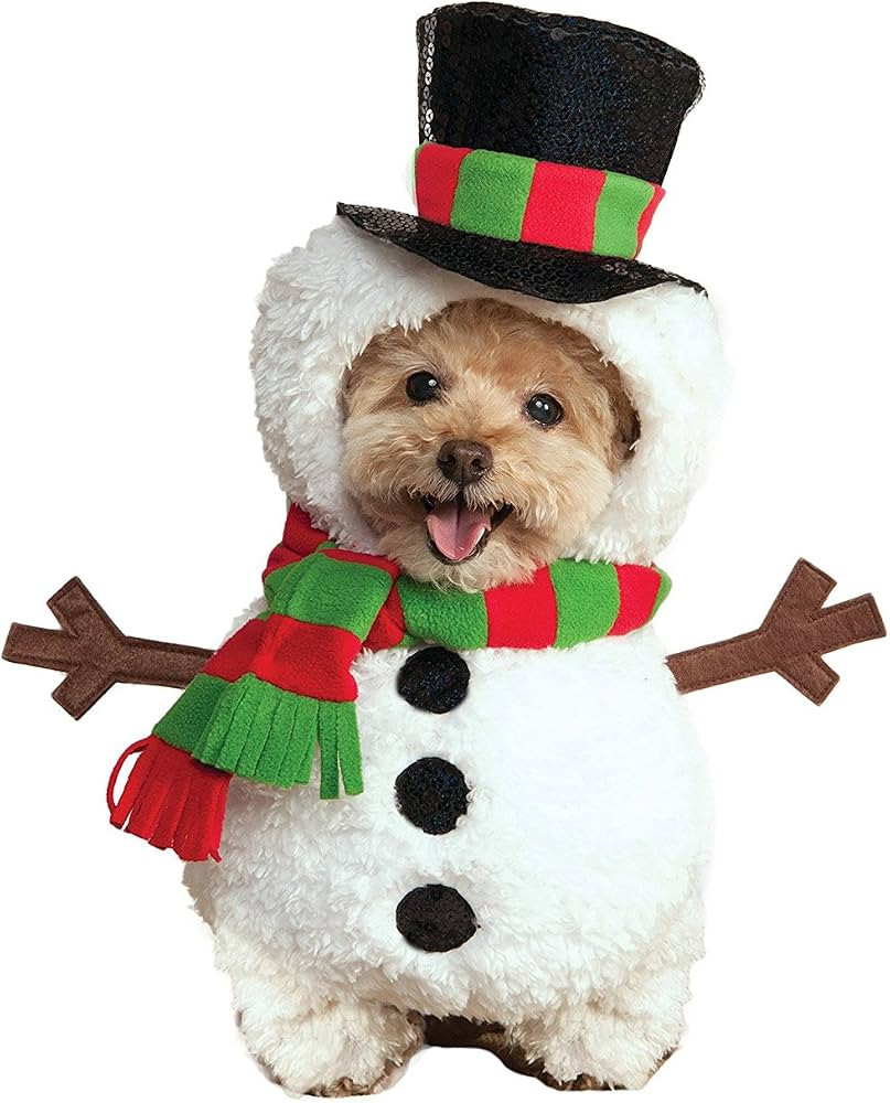 Rubie's Walking Snowman Pet Costume, Small | Amazon (US)