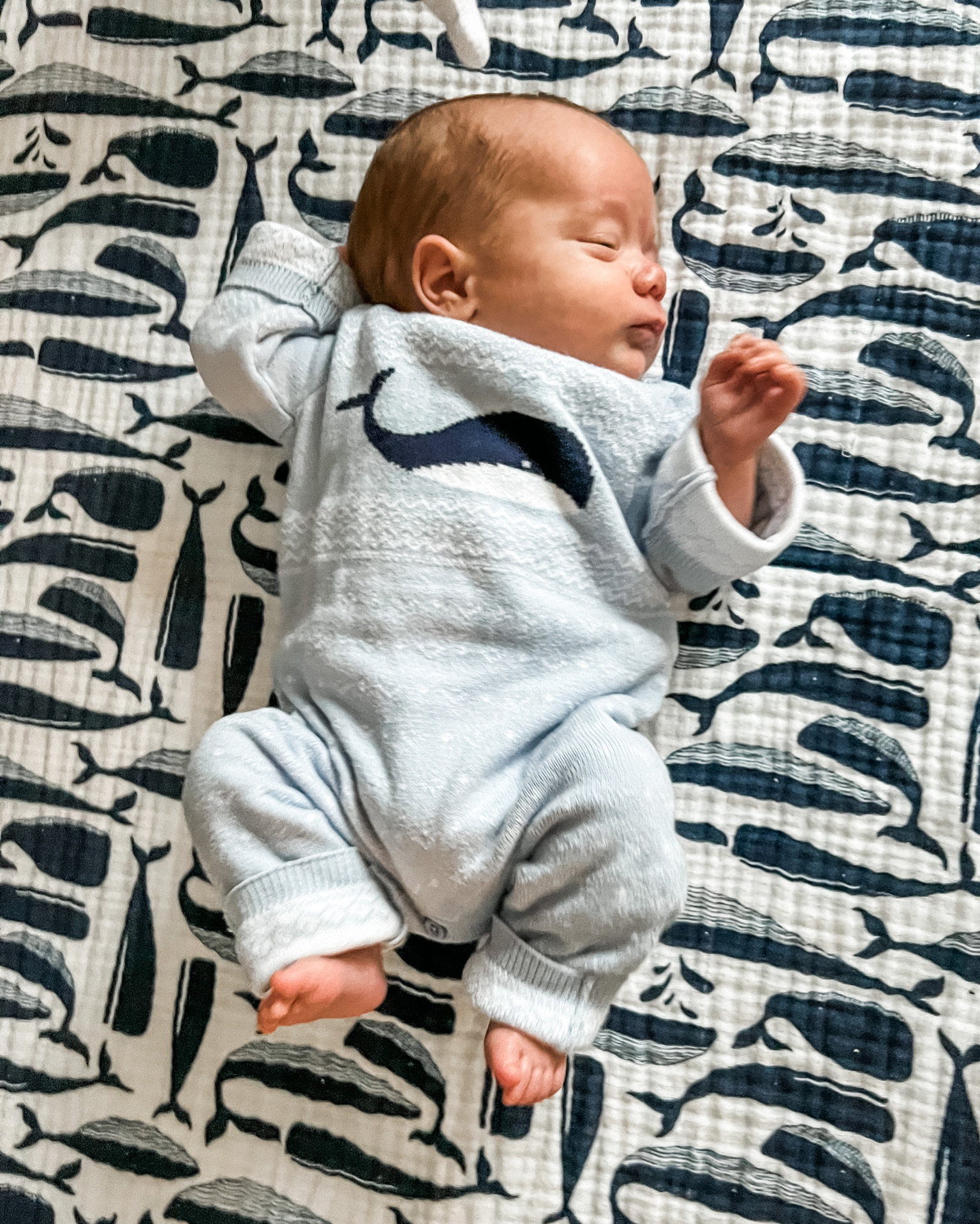 Janie and Jack is crushing it with their resort collection! All the blue, white and nautical! Look at this cute 🐋 sweater onesie!! 

Use code FAMILY for 25% off everything! I linked some of my favorites! 

#LTKsalealert #LTKbaby #LTKunder50