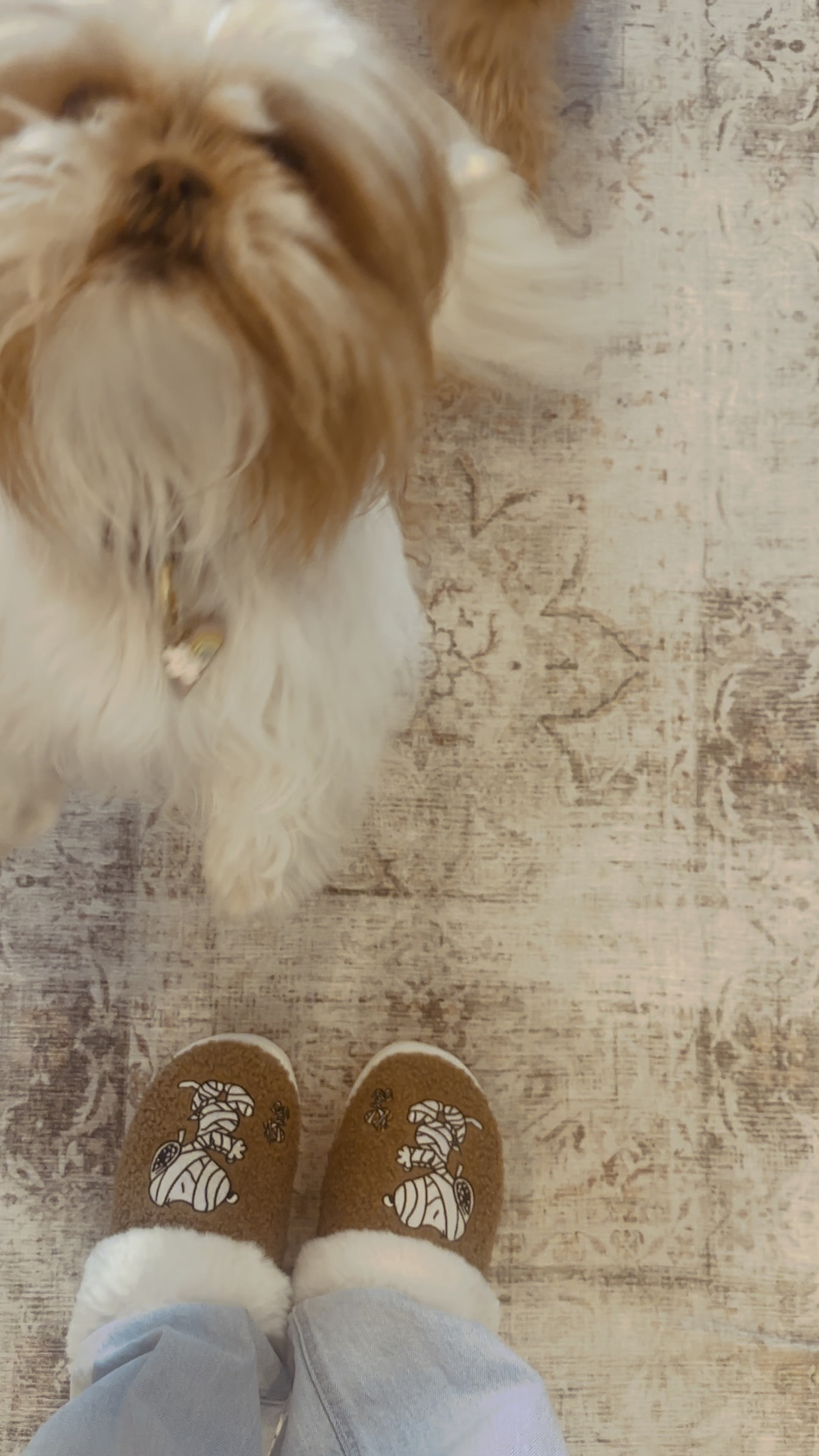 These Peanuts Slippers were an immediate mood booster 🙂