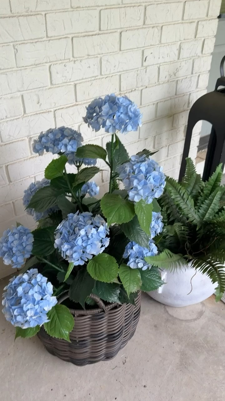 one of the best purchases i’ve ever made. These real touch hydrangeas have lasted so long and are incredible! Makes my front porch look like a dream!🩵

#fauxflowers #hydrangeas #fauxhydrangeas #porchrefresh