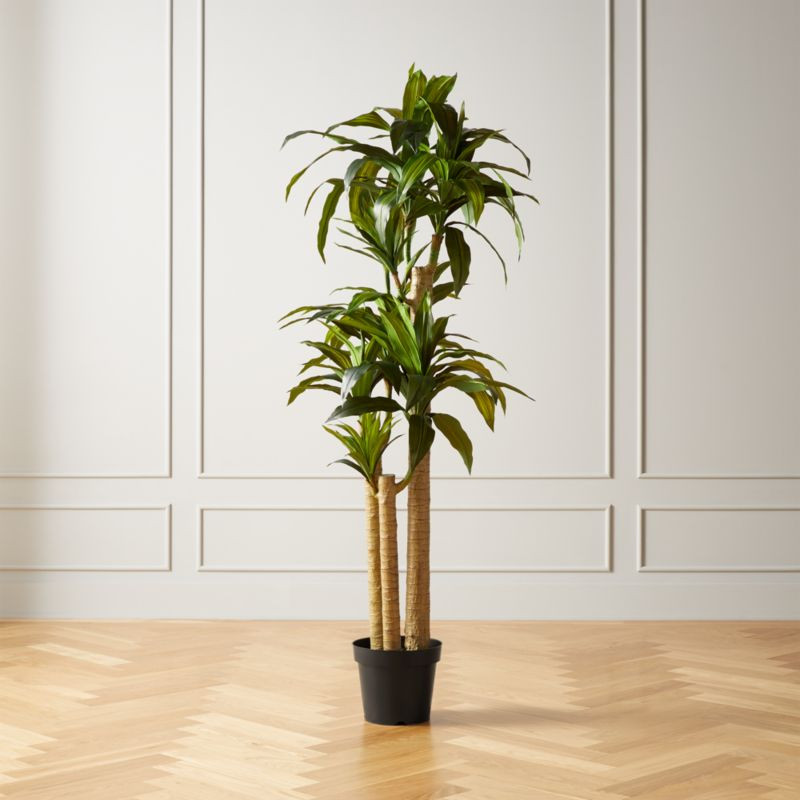 Potted Faux Yucca Tree 6' | CB2 | CB2