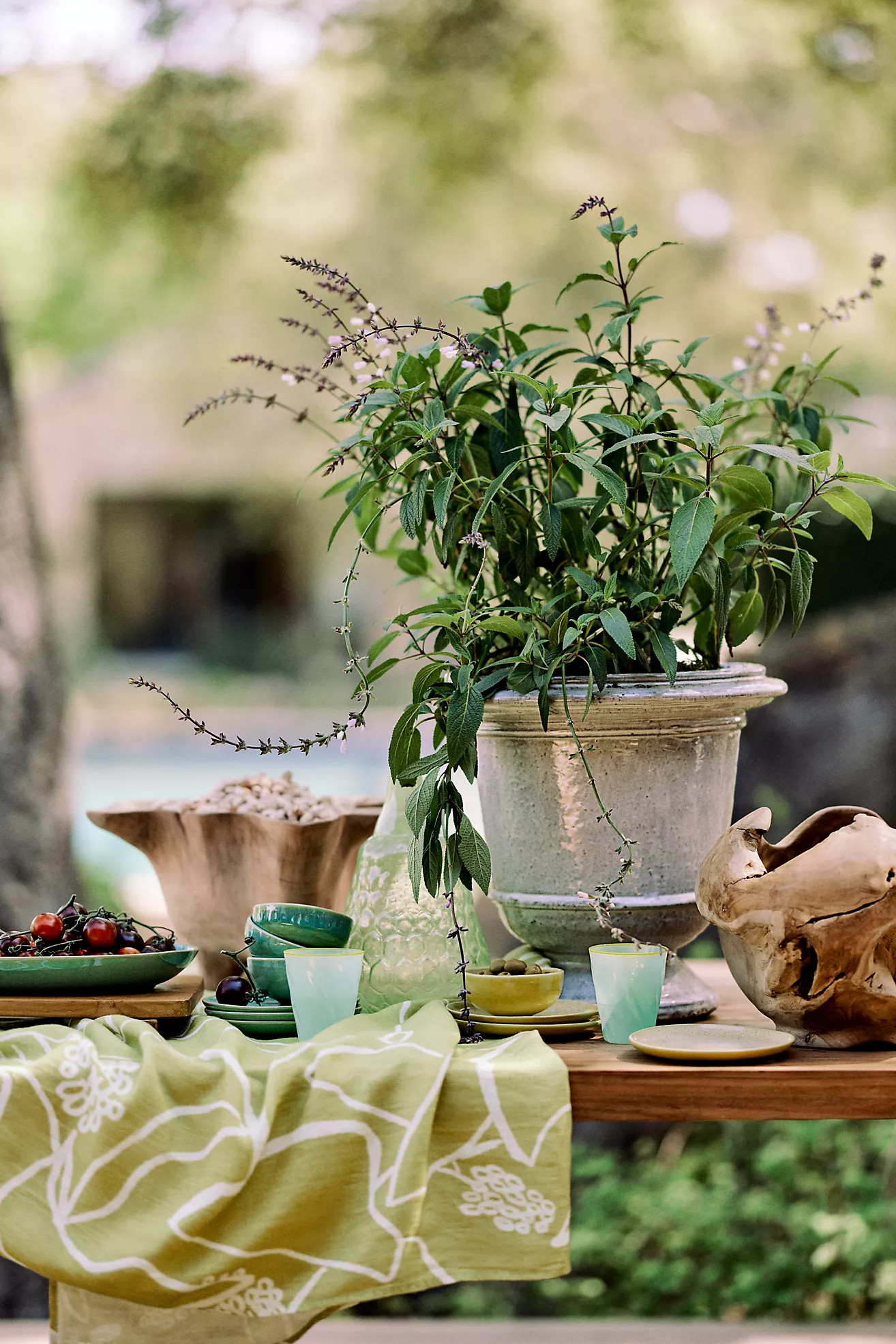 Teak Sphere | Anthropologie (US)