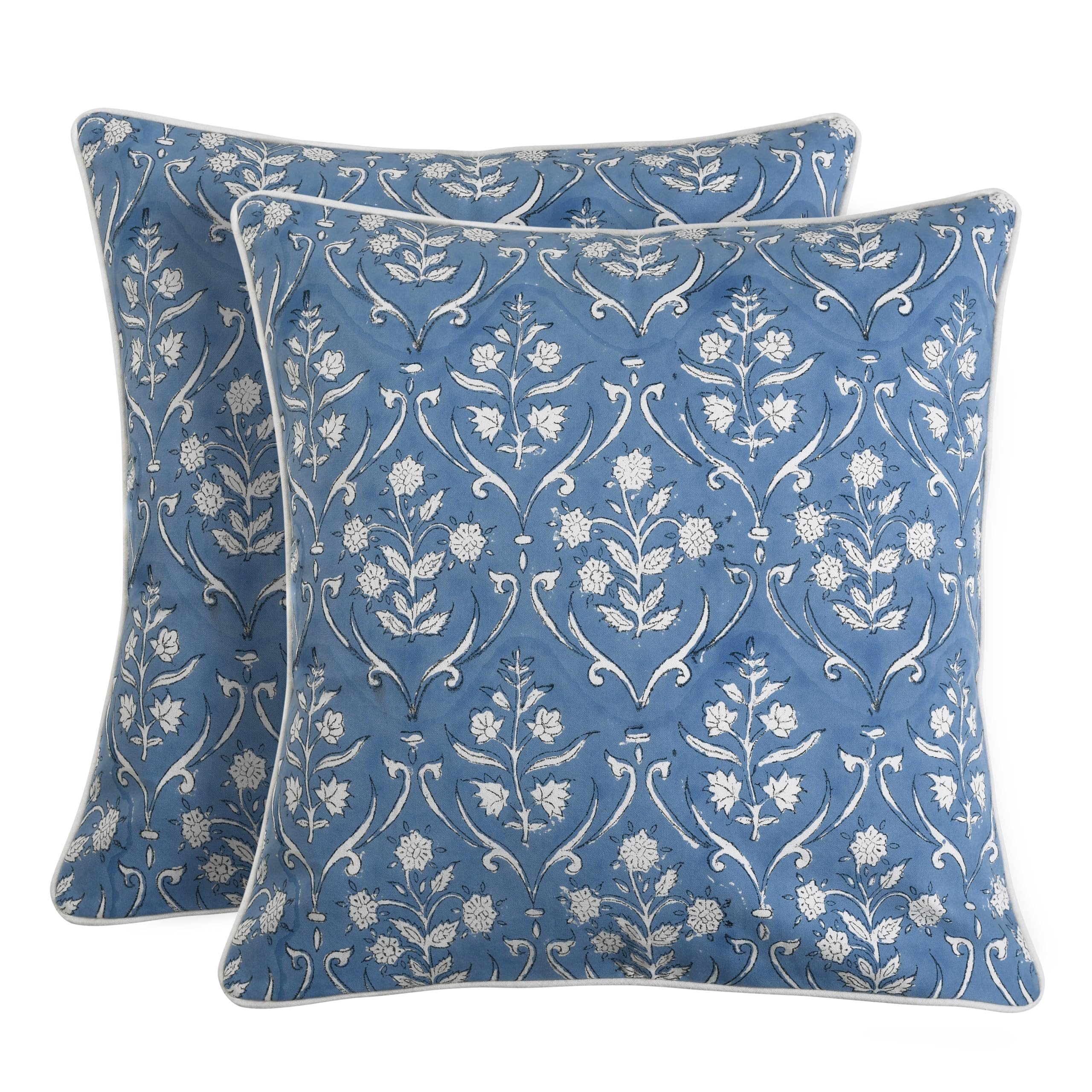 Ridhi Hand Block Print 20x20 Baby Blue Decorative Outdoor Couch Throw Canvas Pillow Cover Set of ... | Amazon (US)